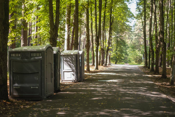 Best Luxury portable toilet rental  in Ferndale, WA